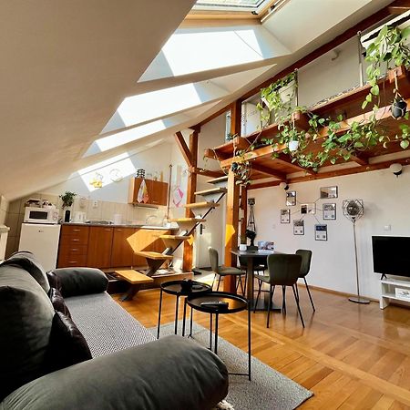 Captain Misha'S Place Белград Екстериор снимка