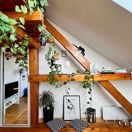 Captain Misha'S Place Белград Екстериор снимка