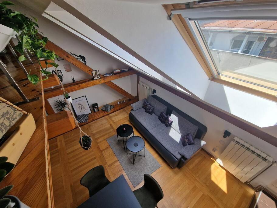 Captain Misha'S Place Белград Екстериор снимка