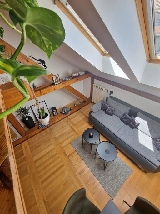 Captain Misha'S Place Белград Екстериор снимка