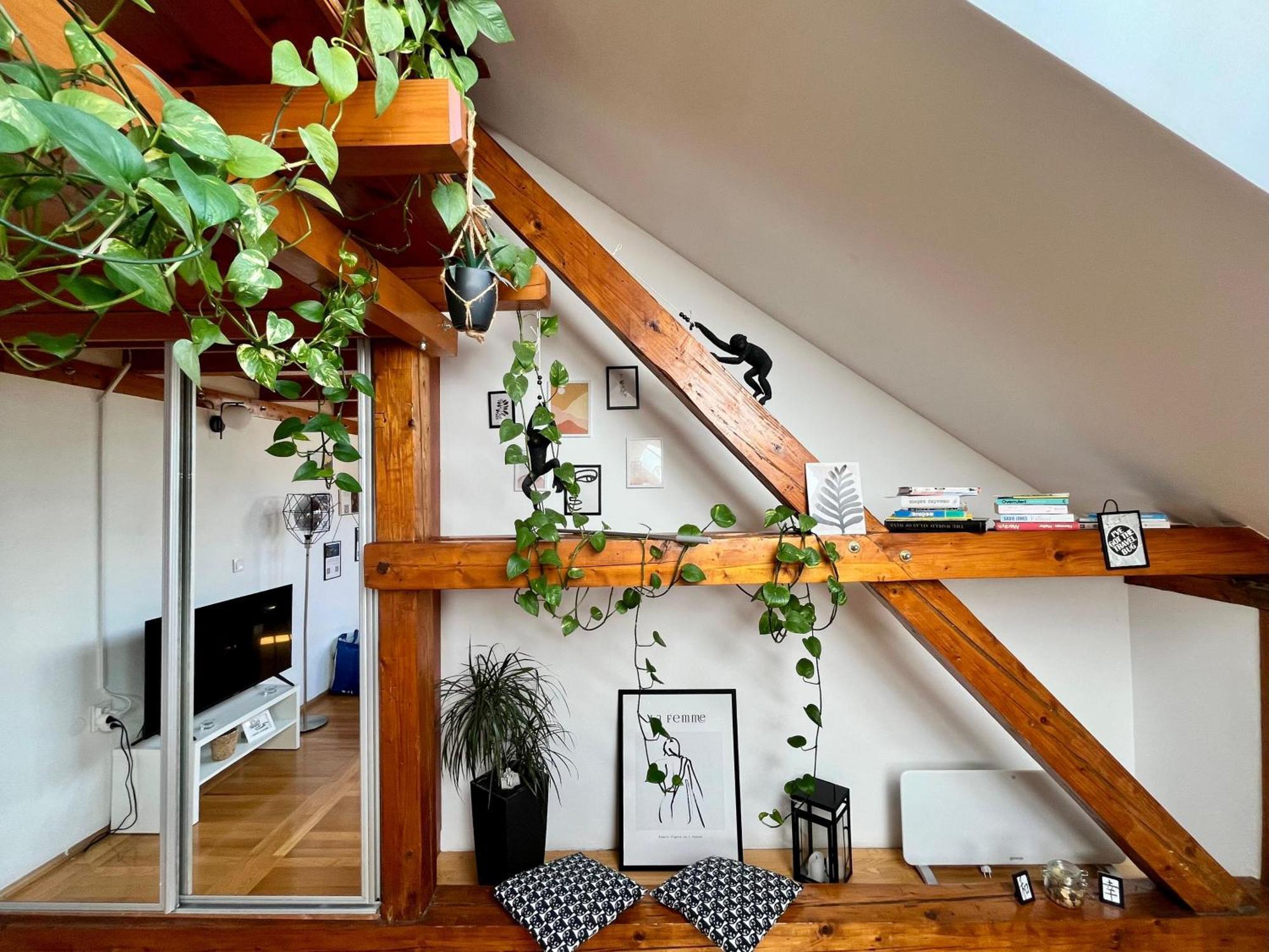 Captain Misha'S Place Белград Екстериор снимка